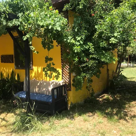 Orman Evi Camping