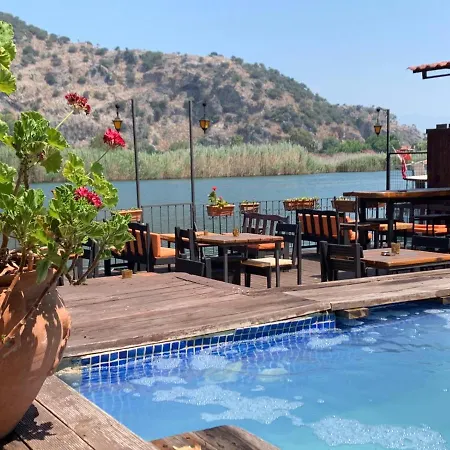 Orman Evi Camping *