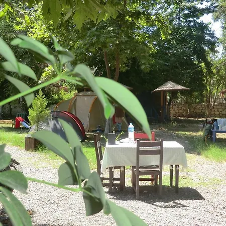 Camping *