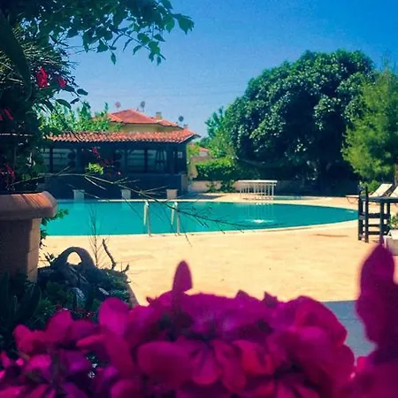 Hotel Palme 2*