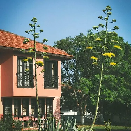 Palme Hotel