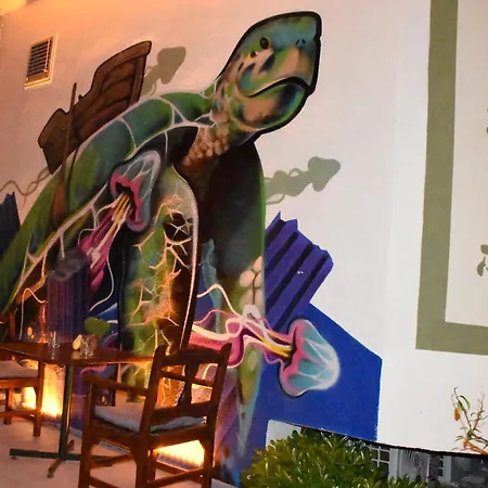 Otel Caretta Caretta