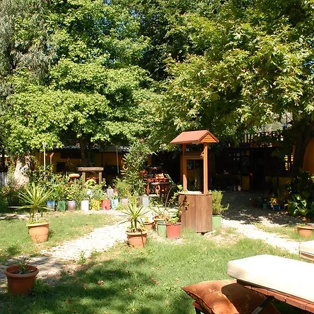 Orman Evi Camping