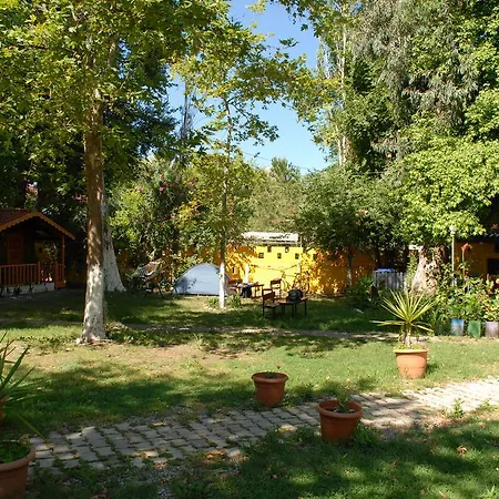 Orman Evi Camping Dalyan