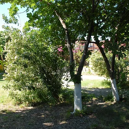 Orman Evi Camping *