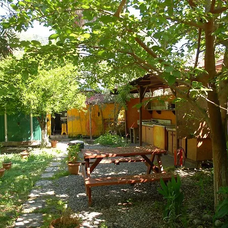 Camping