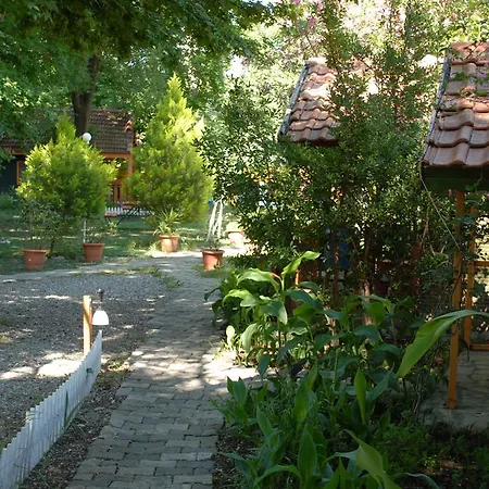 Orman Evi Camping