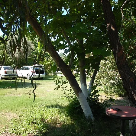 Orman Evi Camping