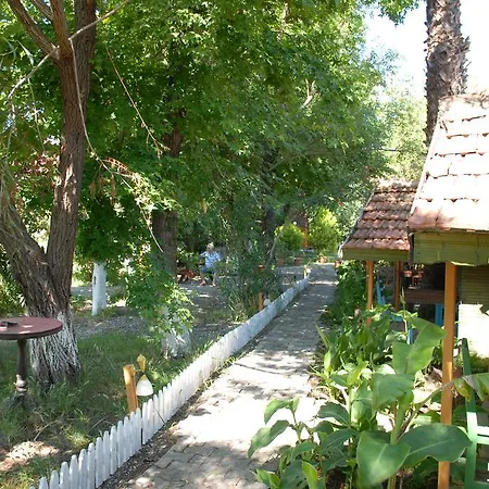 Orman Evi Camping