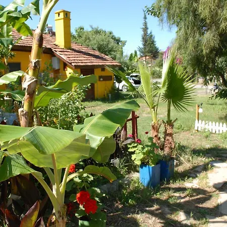 Orman Evi Camping *