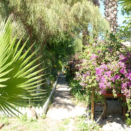 Orman Evi Camping *