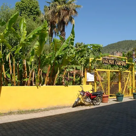 Orman Evi Camping