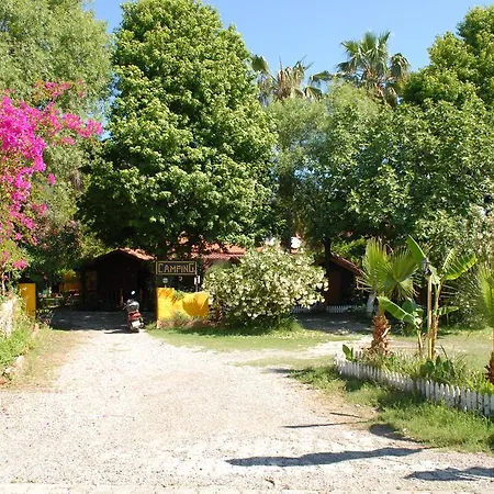 Orman Evi Camping