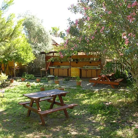 Orman Evi Camping