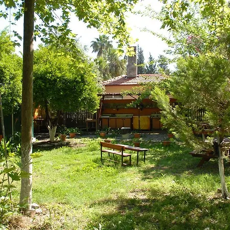 Orman Evi Camping Dalyan