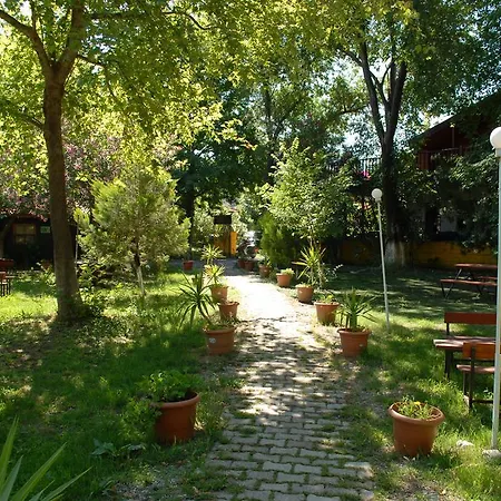 Orman Evi Camping *