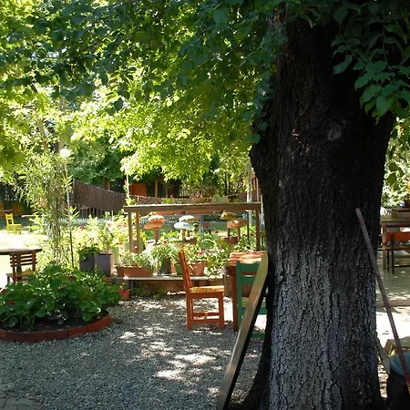 Orman Evi Camping *