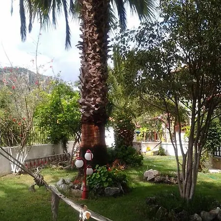 B.c. Alya Aparthotel 2*