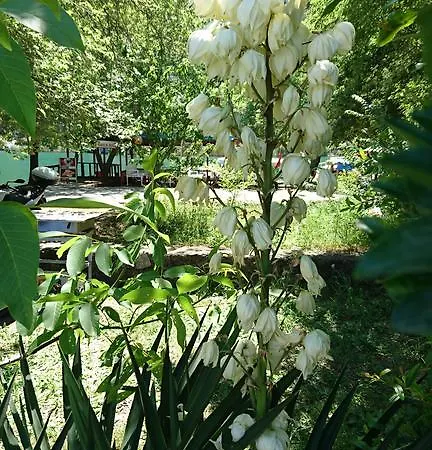 Sirius Dalyan