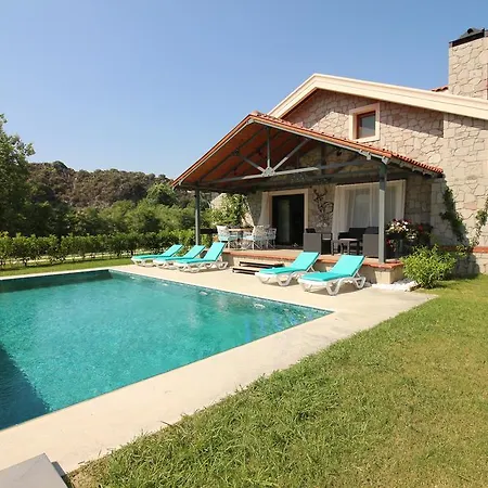 Alcedo Dalyan