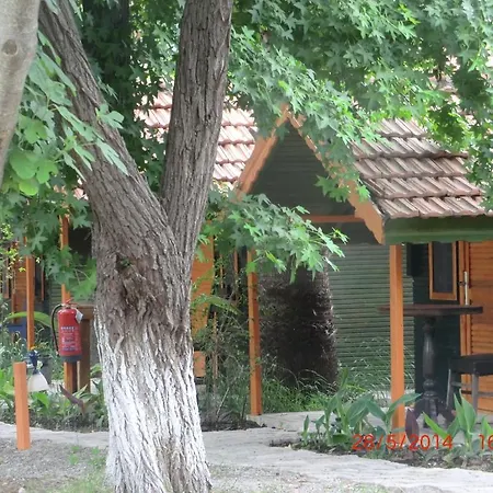 Camping Orman Evi *