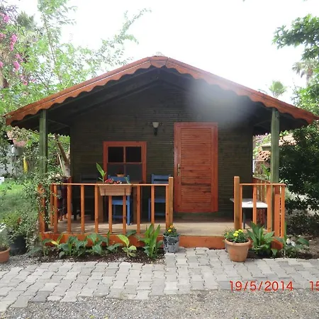 Orman Evi Camping *