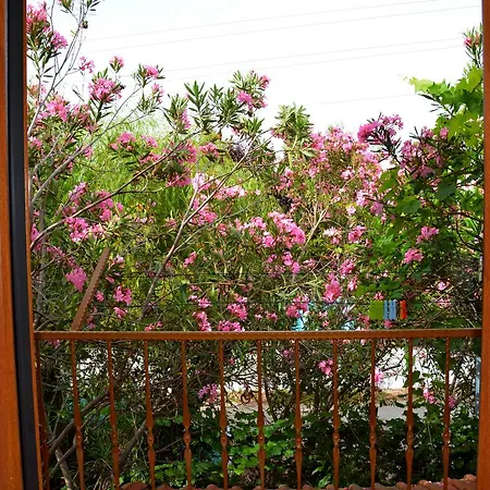 Villa Poseidon *