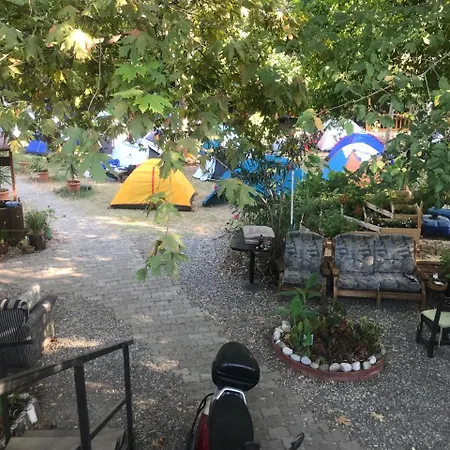 Camping
