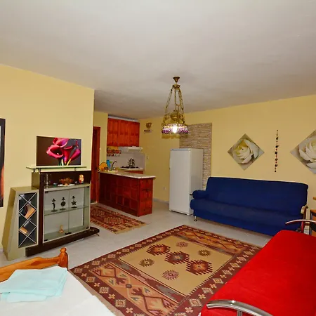 Gala Dalyan
