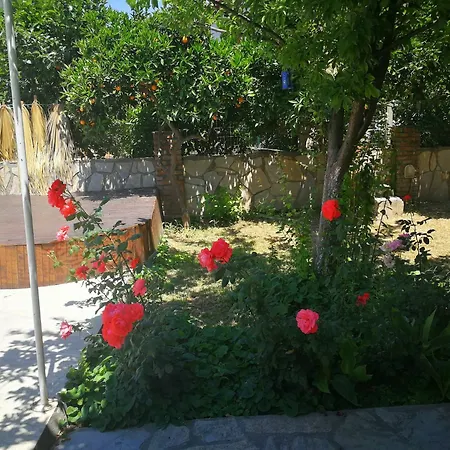 Gala Apartment