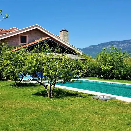 Alcedo * Dalyan