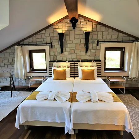Alcedo Dalyan