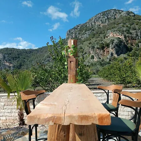 Villa Dionyssos Dalyan