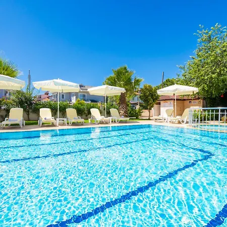 Safak Oasis