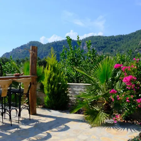 Villa Dionyssos Dalyan