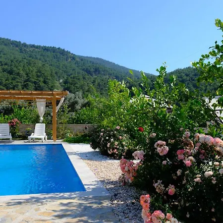 Dionyssos Villa Dalyan