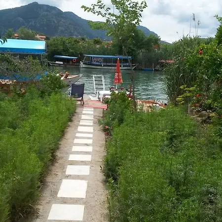 Yalili